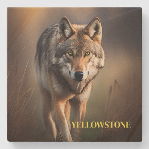 Yellowstone Wolf Sandstone Coaster