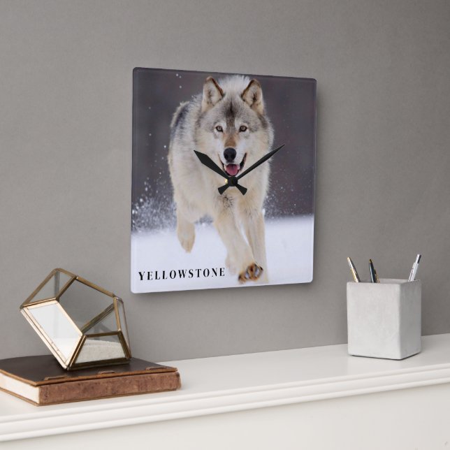 Yellowstone Wolf Square Wall Clock (Office)
