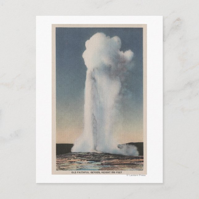 Yellowstone, WYView of Old Faithful Erupting Postcard (Front)