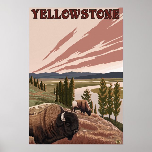 YellowstoneBison Scene Poster (Front)