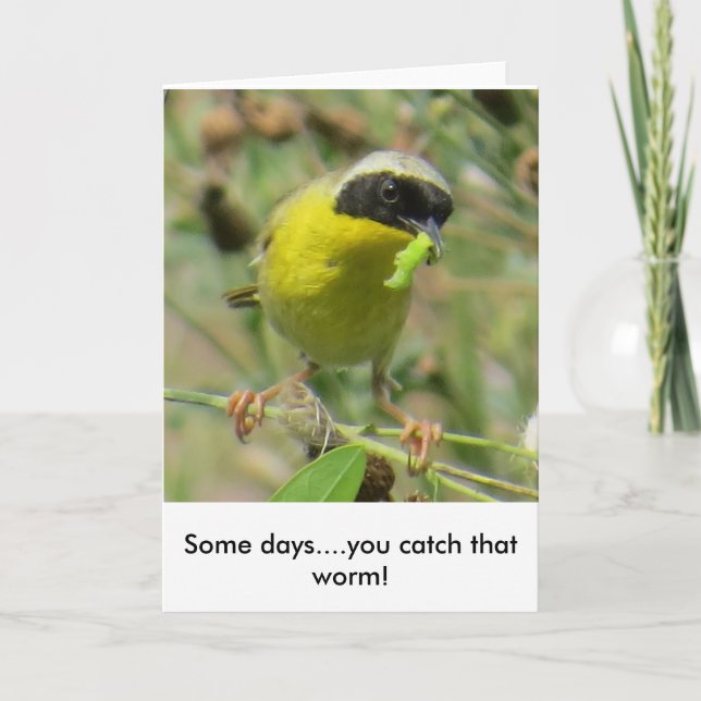 Yellowthroat Greeting Card (Front)