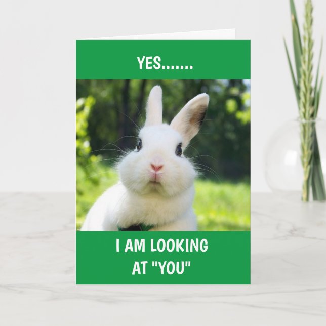 YES "I AM" LOOKING AT "YOU" EASTER HUMOR HOLIDAY CARD (Front)