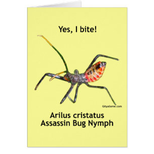 Yes I Bite Assassin Bug