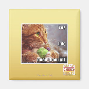 Yes I do need them all Magnet