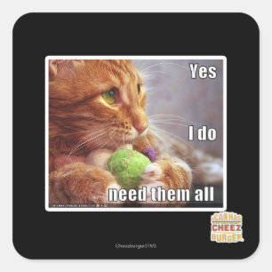 Yes I do need them all Square Sticker