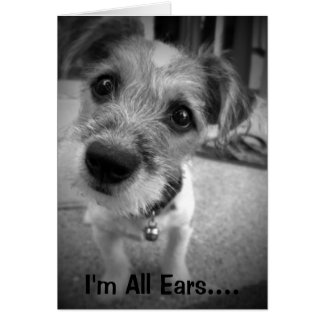 Yes Master, I'm All Ears
