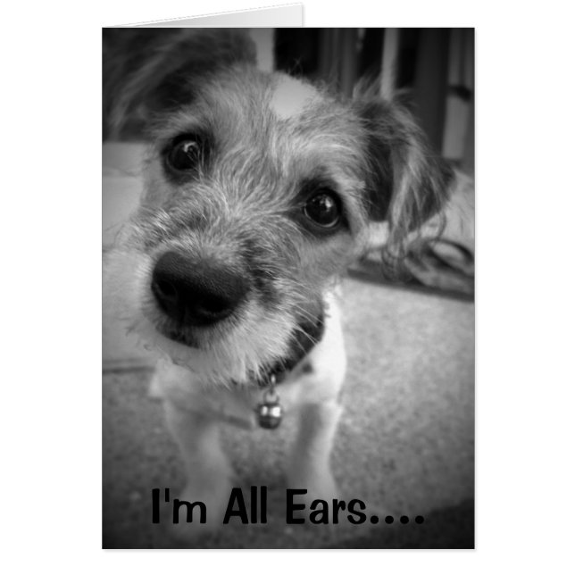 Yes Master, I'm All Ears (Front)