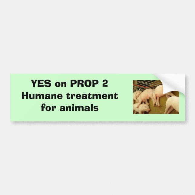 Yes on Proposition 2 - Bumper Sticker (Front)