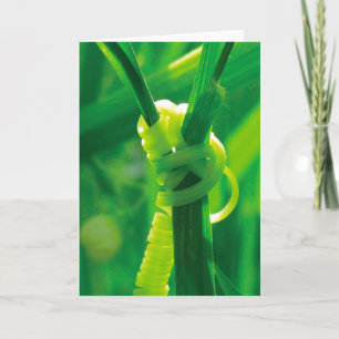 Yes You Can! Rosie the Riveter Tendril Vine Card