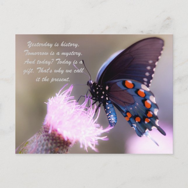 Yesterday is history. Tomorrow is a mystery. And t Postcard (Front)