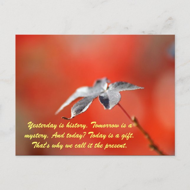 Yesterday is history. Tomorrow is a mystery. And t Postcard (Front)