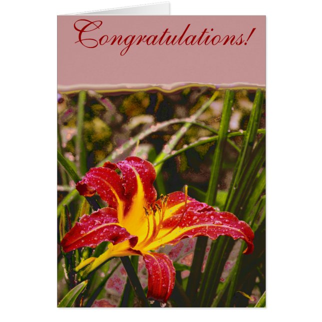 Yesterday Lily After The Rain (Front)