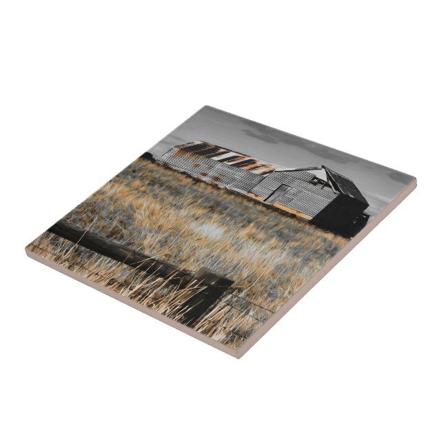 Yesterday's Shelter Ceramic Tile (Side)