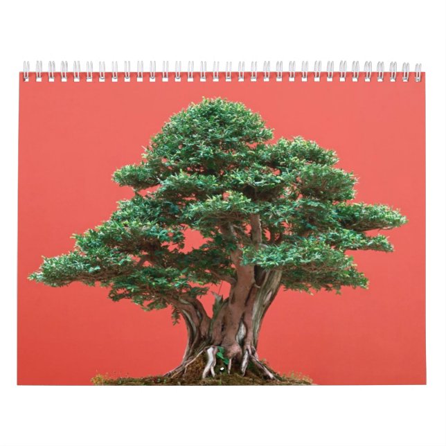 Yew bonsai calendar (Cover)