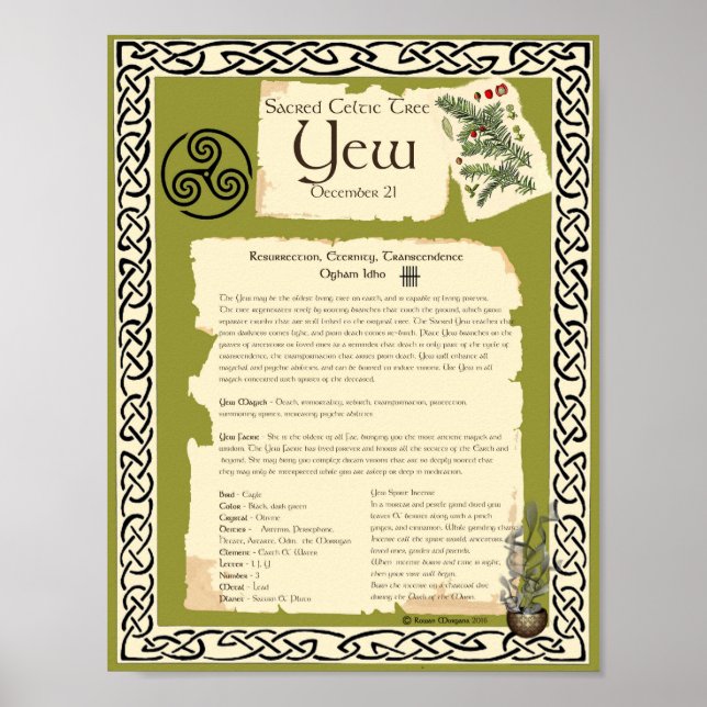 YEW CELTIC SACRED TREE POSTER (Front)
