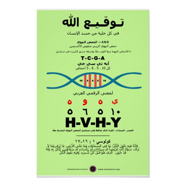 YHVH DNA - Arabic Poster (Front)