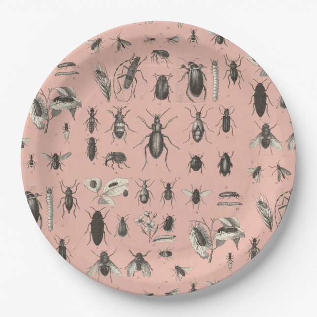 Yikes Bugs on My Plate (Front)