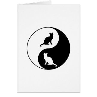 Yin and Yang Cat