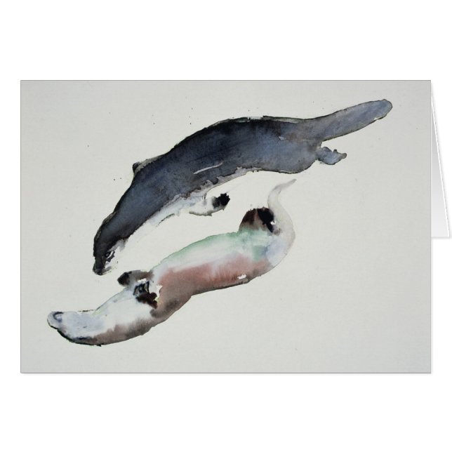 Yin Yang (Front Horizontal)