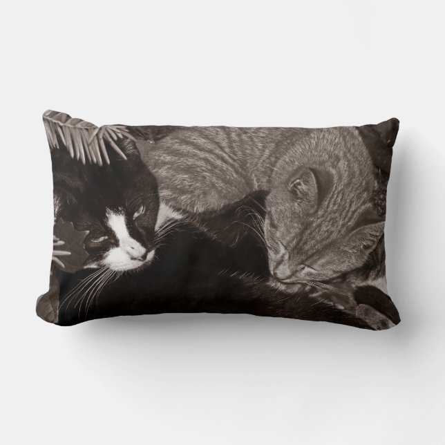Yin Yang Cats Lumbar Cushion (Front)