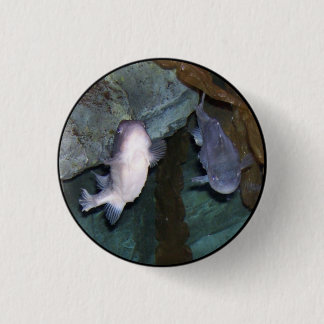 Yin Yang Fish Photo 3 Cm Round Badge
