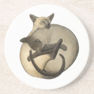 Yin Yang Siamese Cats Coaster