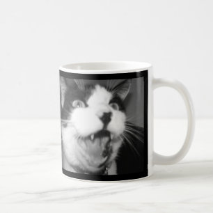 Yinyang Cat Needs Coffee Now cup