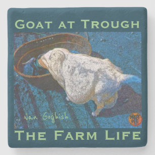 YNOTME VAN GOGHISH GOAT AT TROUGH2 STONE COASTER
