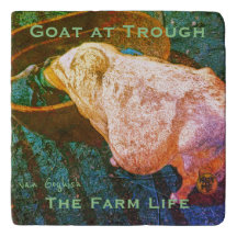 YNOTME VAN GOGHISH GOAT AT TROUGH2a