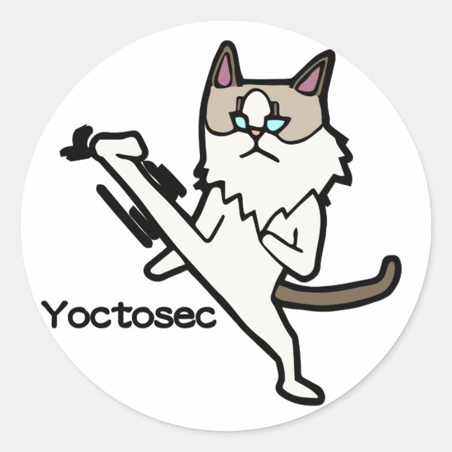 Yoctosec Enlightenment Cat Classic Round Sticker (Front)