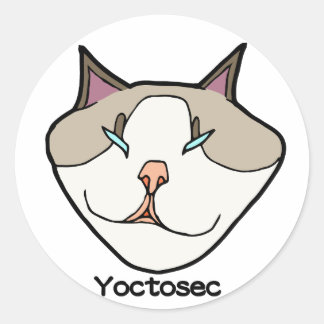 Yoctosec Enlightenment Cat Classic Round Sticker
