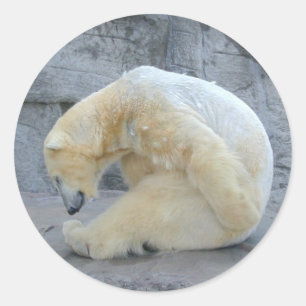 Yoga Bear Classic Round Sticker