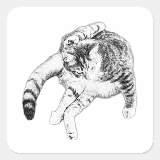 Yoga, But Make It Cat Square Sticker (Front)