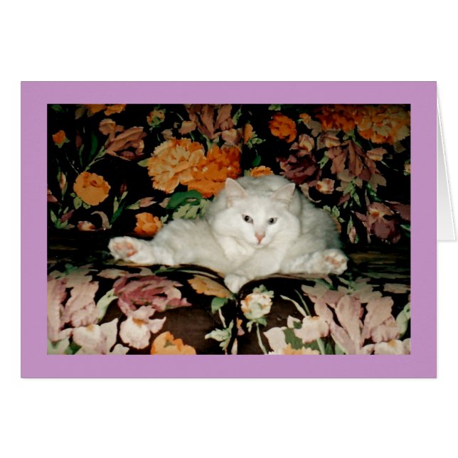 Yoga Cat (Front Horizontal)