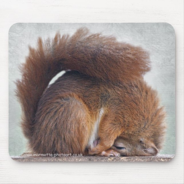 Yoga Squirrel Mousemat (Front)