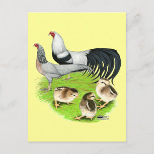 Yokohama Silver Family Postcard