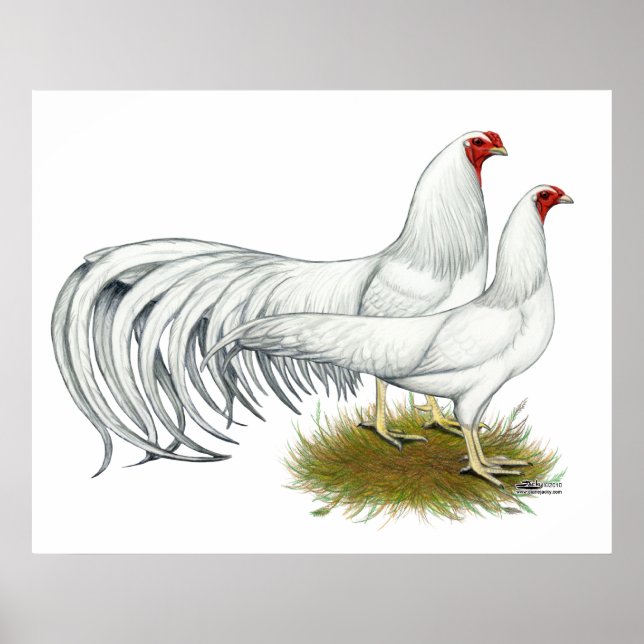 Yokohama:  White Pair Poster (Front)