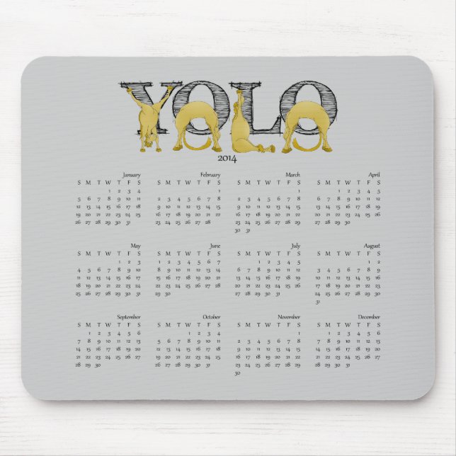YOLO flexible pony calendar 2014 Mouse Pad (Front)