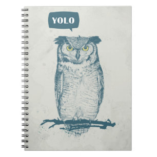 YOLO NOTEBOOK