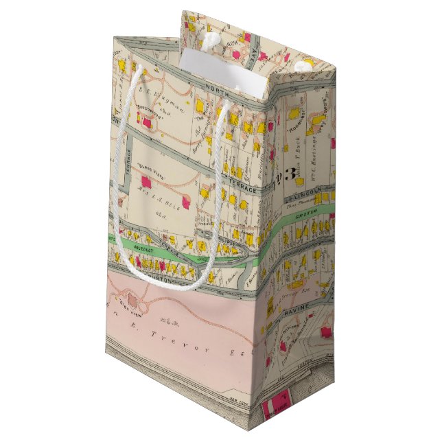 Yonkers NY Map Small Gift Bag (Back Angled)