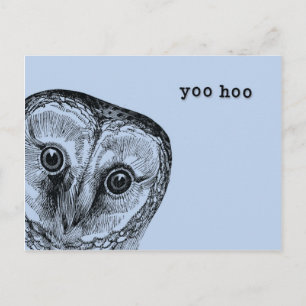 Yoo Hoo Owl Greeting in Blue Postcard