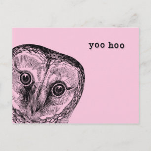 Yoo Hoo Owl Greeting in Pink Postcard