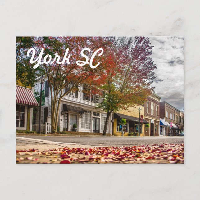 york south carolina postcard (Front)