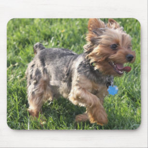 York Terrier Dog Mouse Pad