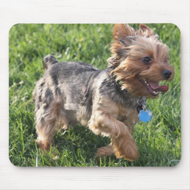 York Terrier Dog Mouse Pad (Front)