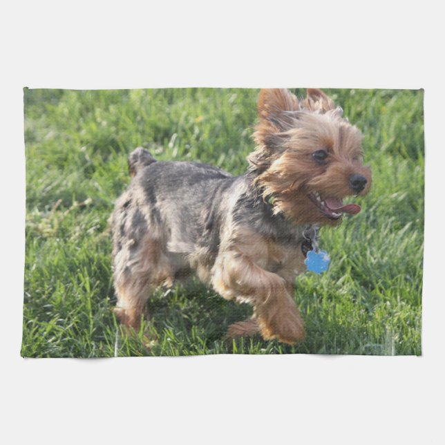 York Terrier Kitchen Towel (Horizontal)