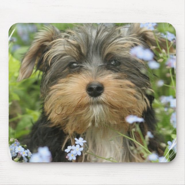 York Terrier Mouse Pad (Front)