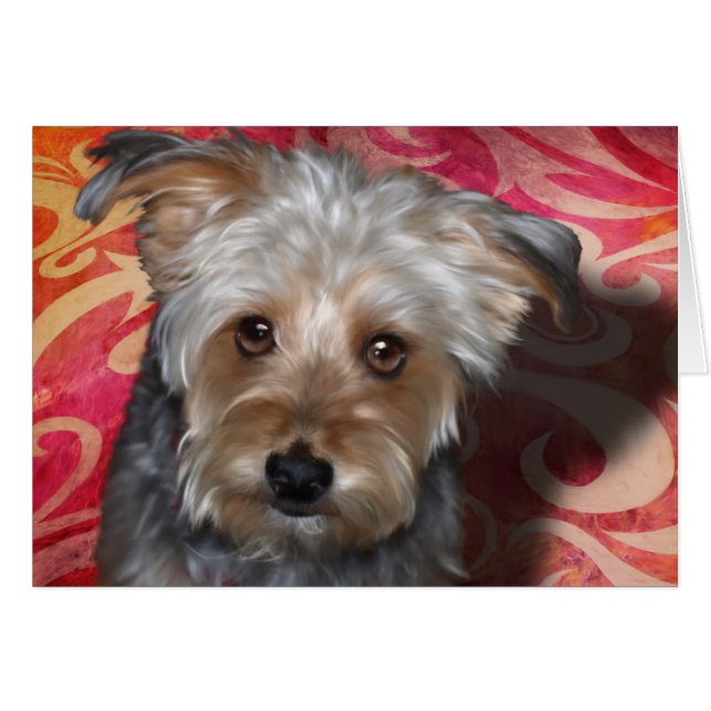 Yorkie (Front Horizontal)