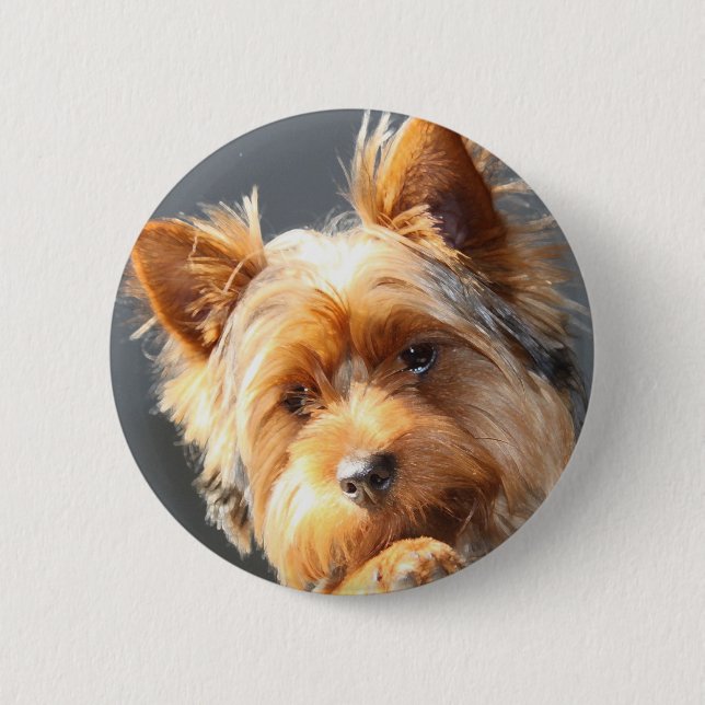 yorkie 6 cm round badge (Front)