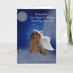 Yorkie Angel Star Card